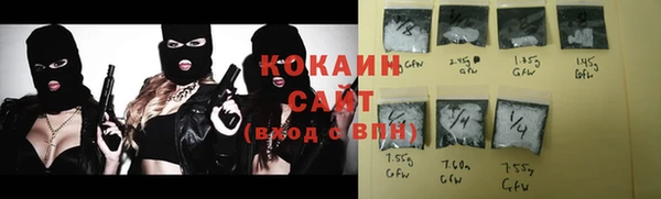 ECSTASY Горняк