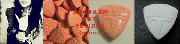мдпв Гусев
