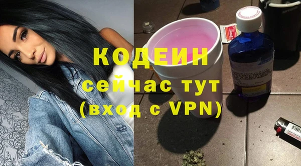 соль ск Гусь-Хрустальный