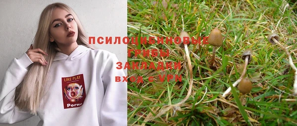 синтетический гашиш Горнозаводск