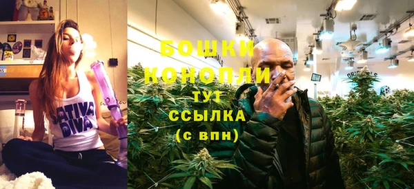 мдпв Гусев