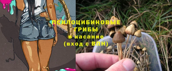 круглые Горно-Алтайск