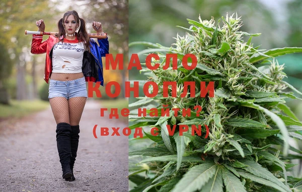 мдпв Гусев