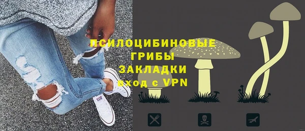соль ск Гусь-Хрустальный