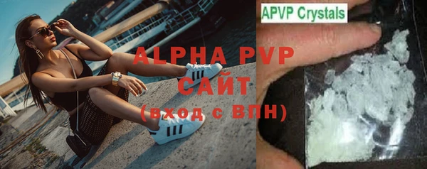 ECSTASY Горняк
