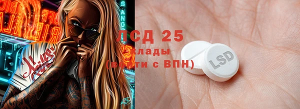 мдпв Гусев